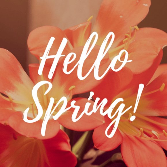 CCO, NWT | Belldini | M ,only Tank Top with luxury collar - Picture 3 of 3